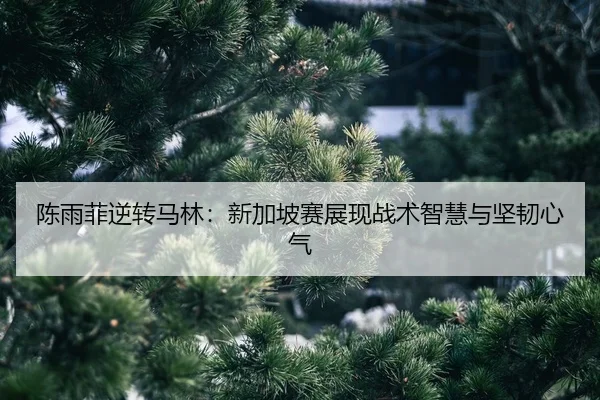 chen-yu-fei-ni-zhuan-ma-lin-xin-jia-po-sai-zhan-xian-zhan-shu-zhi-hui-yu-jian-ren-xin-qi-2-777.jpg
